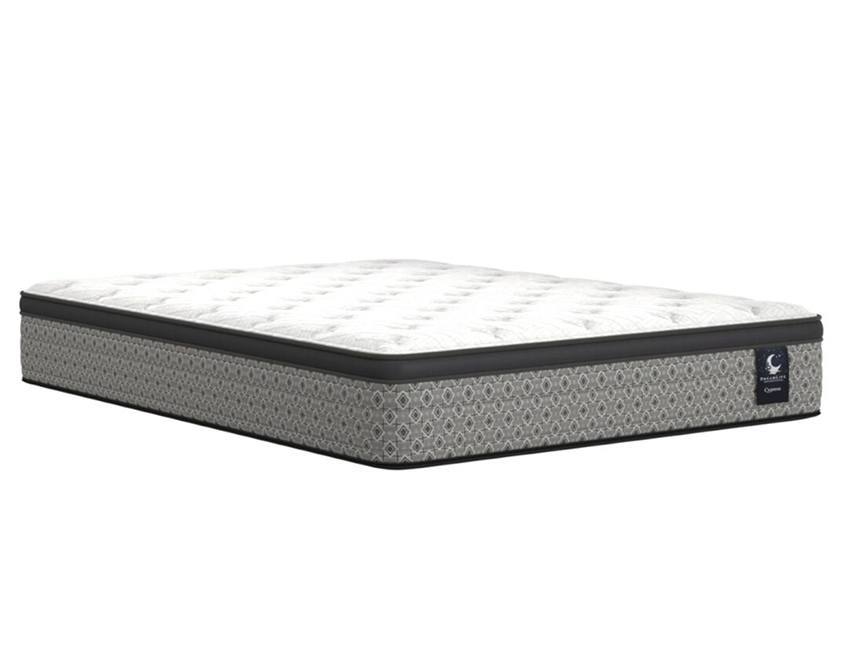 Siesta twin mattress with soft support affordable sleep solution for modern bedrooms